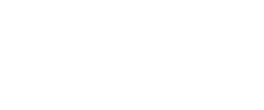 AP Tree Service Experts LLC Logo
